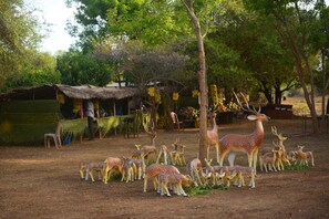 Front of property - Thumbaya Resort Yala (Tissamaharama)