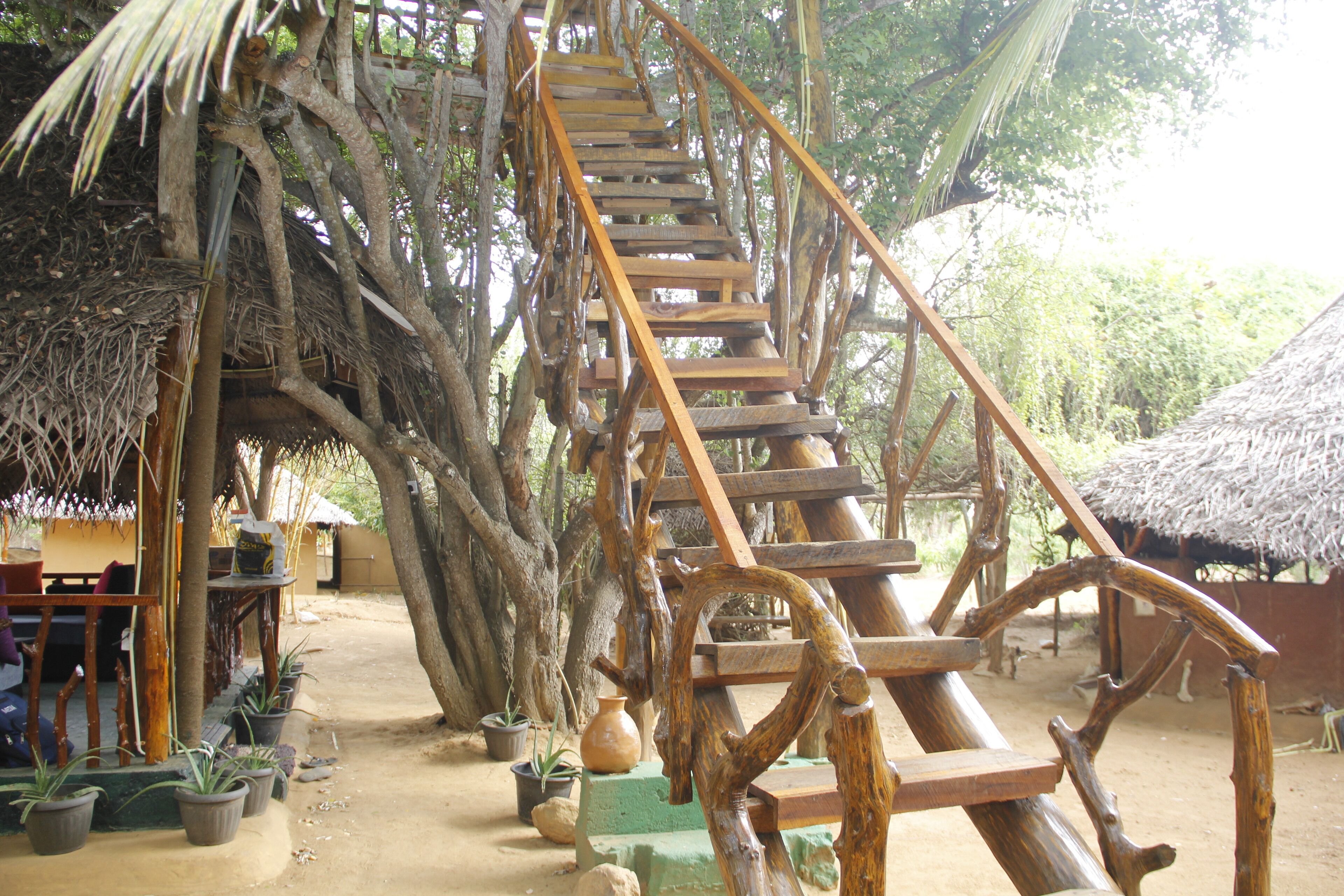 Cabane dans un arbre luxueuse, balcon, vue sur le lac | Fer et planche à repasser, accès au Wi-Fi (inclus)