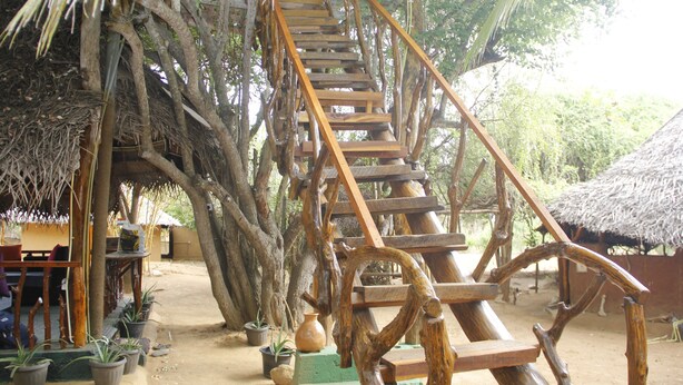 Una escalera de madera construida dentro de una estructura arbórea, rodeada de plantas en macetas y un edificio con techo de paja.