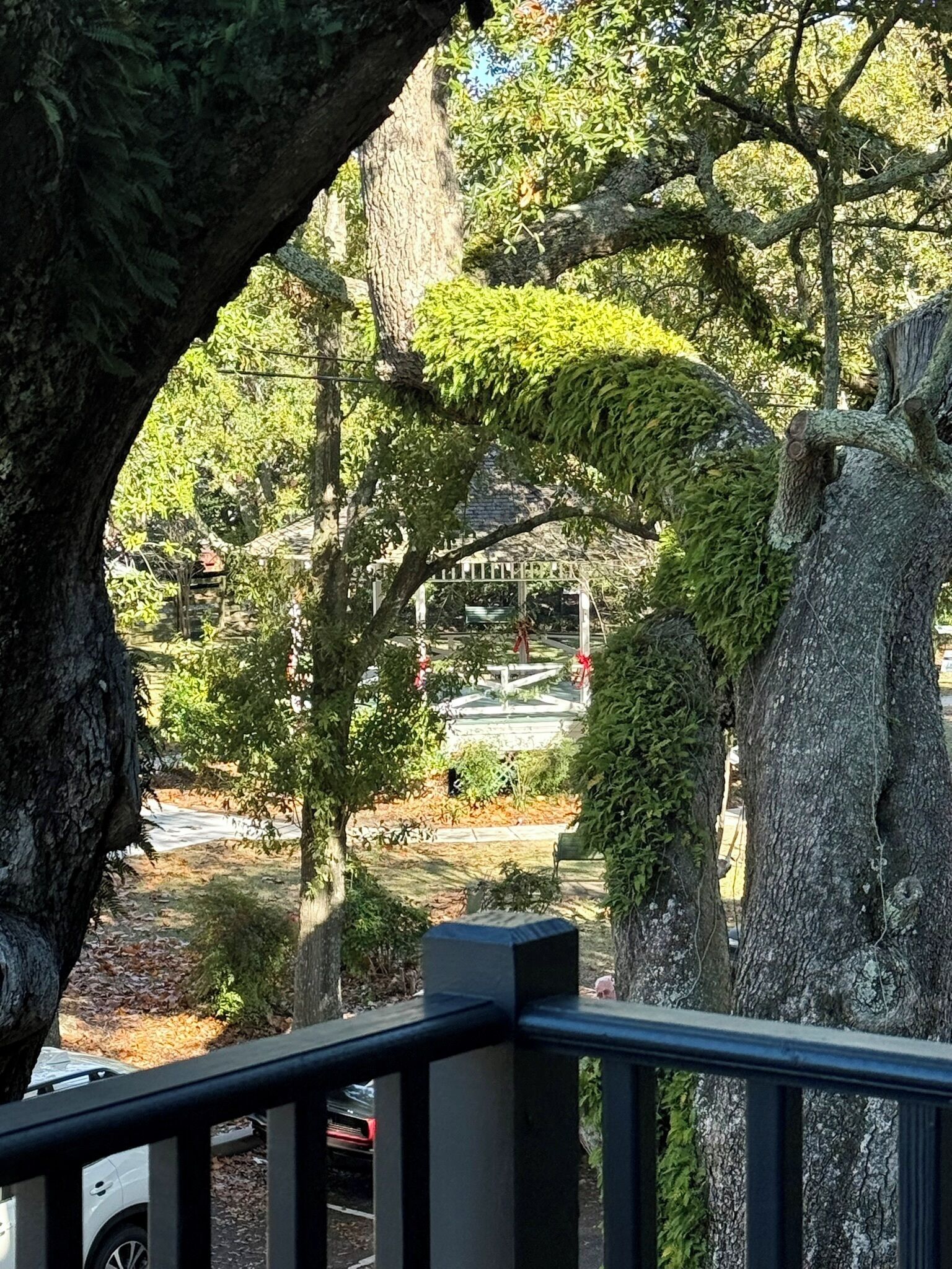 Vista a través de un arco de árboles, mostrando un edificio con techo verde y cerca blanca.