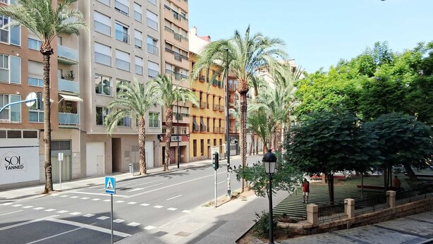 A modern urban street with palm trees, a pedestrian crossing, and multi-story buildings. - AS ROOMS Alicante  (Alicante)