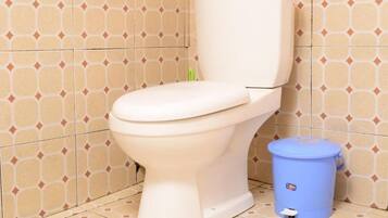 Douche, serviettes fournies, savon, papier toilette