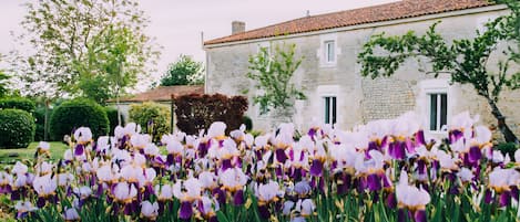 Área da propriedade