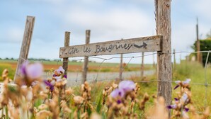 Un letrero de madera con texto, rodeado de una cerca de alambre y flores silvestres.