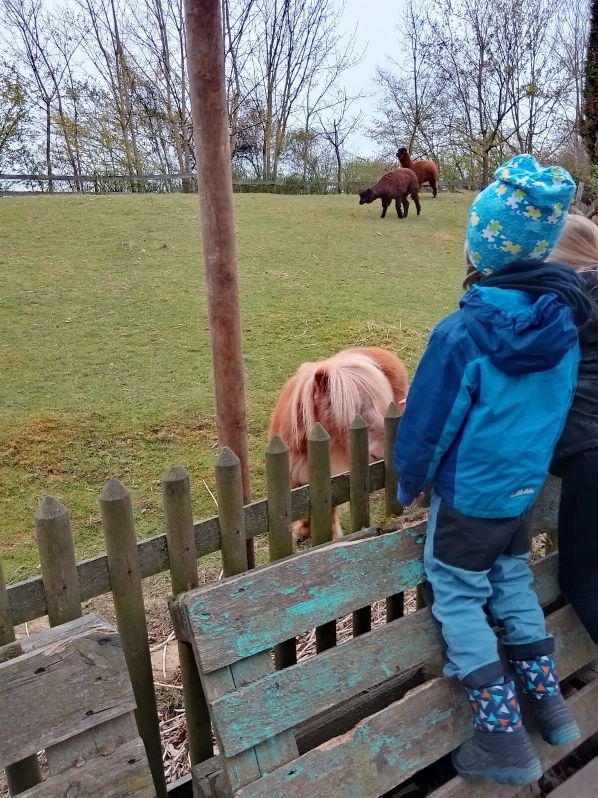 Un banc en bois dans un parc, avec une clôture, une personne portant une veste bleue et des bottes à motifs, et deux chevaux en arrière-plan.