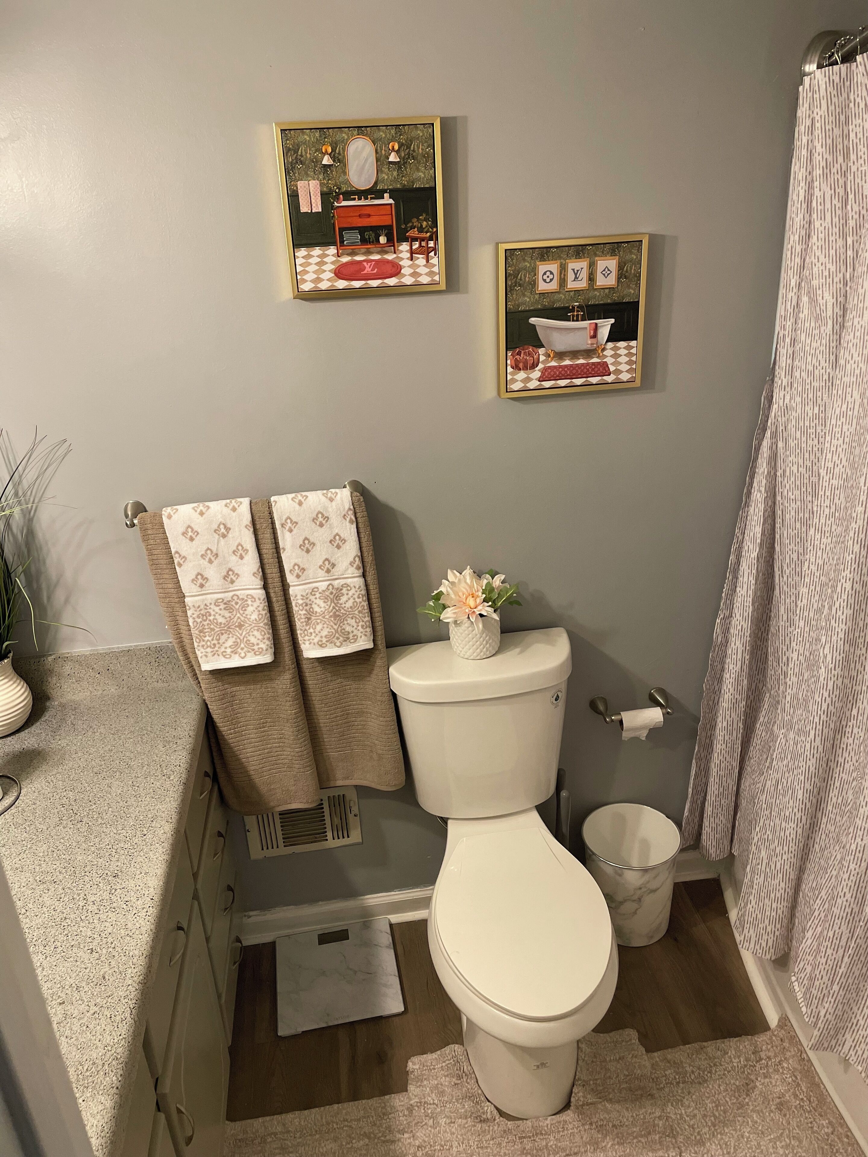 Shower, towels, toilet paper