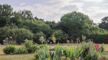 Terrain de l’hébergement