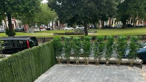 Ein gepflasterter Innenhof mit einer Hecke und jungen Bäumen.