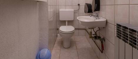 A small bathroom with a toilet, sink, and a trash bin.