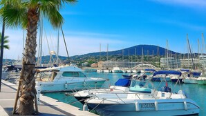 Un port de plaisance avec des bateaux amarrés, un palmier et une chaîne de montagnes en arrière-plan.