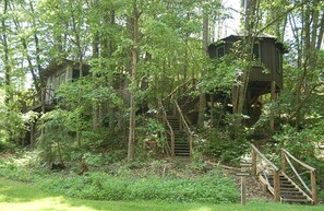 Exterior - Tree Top Cabin in Crumpler, North Carolina (Crumpler)
