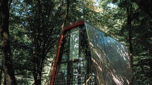 A rustic cabin with a stone foundation, surrounded by dense forest. - Eco village in the forest (Lagodekhi)