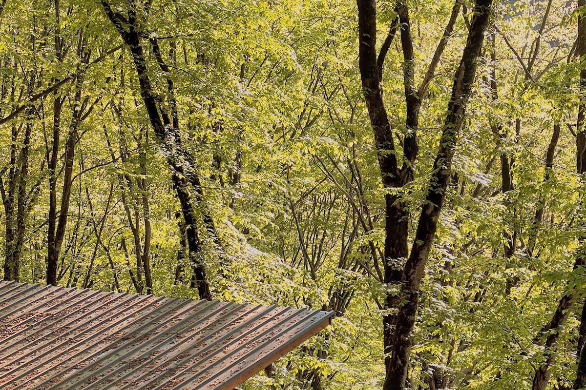 Romantic Single Room, Balcony, River View | Free WiFi