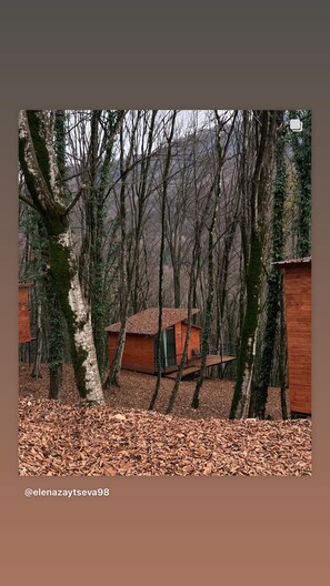 Family Cottage, River View | View from room