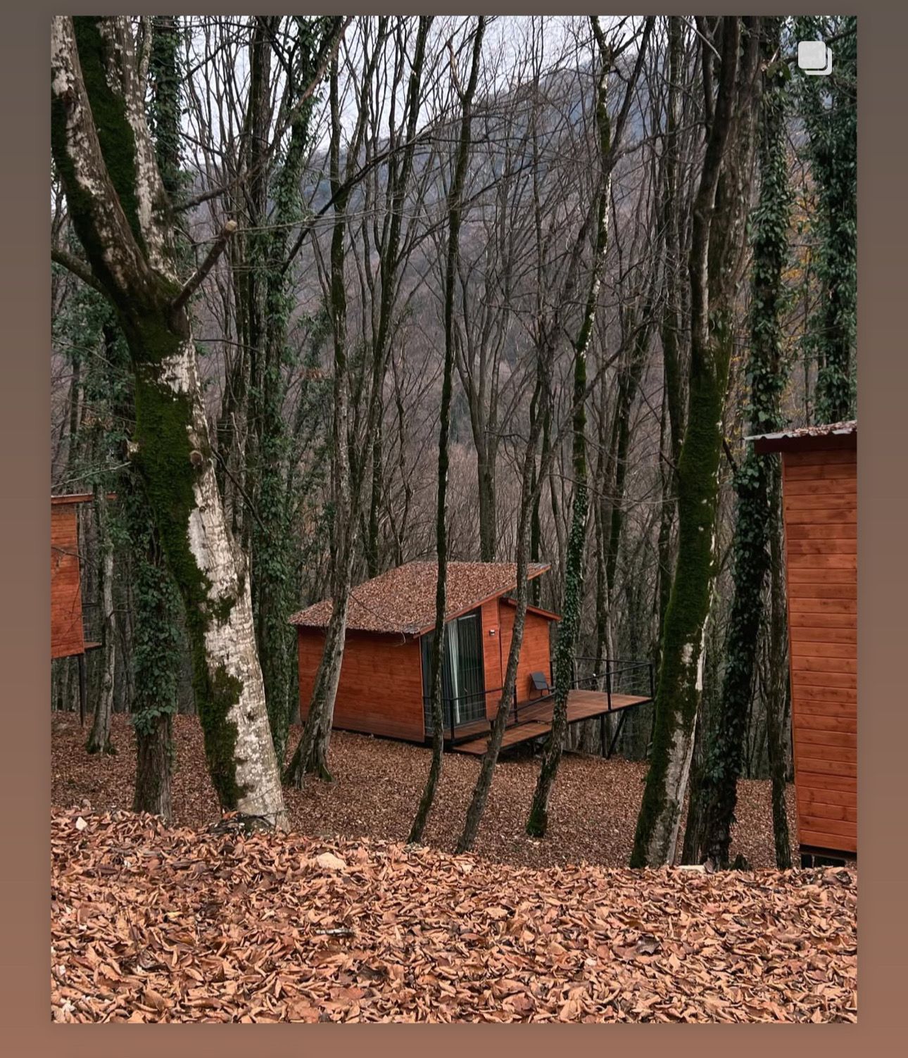 A forested area with several wooden cabins.