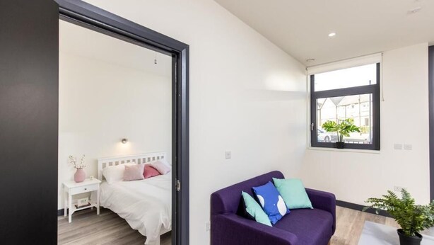 Una camera moderna con un letto, un divano viola e una finestra con piante.