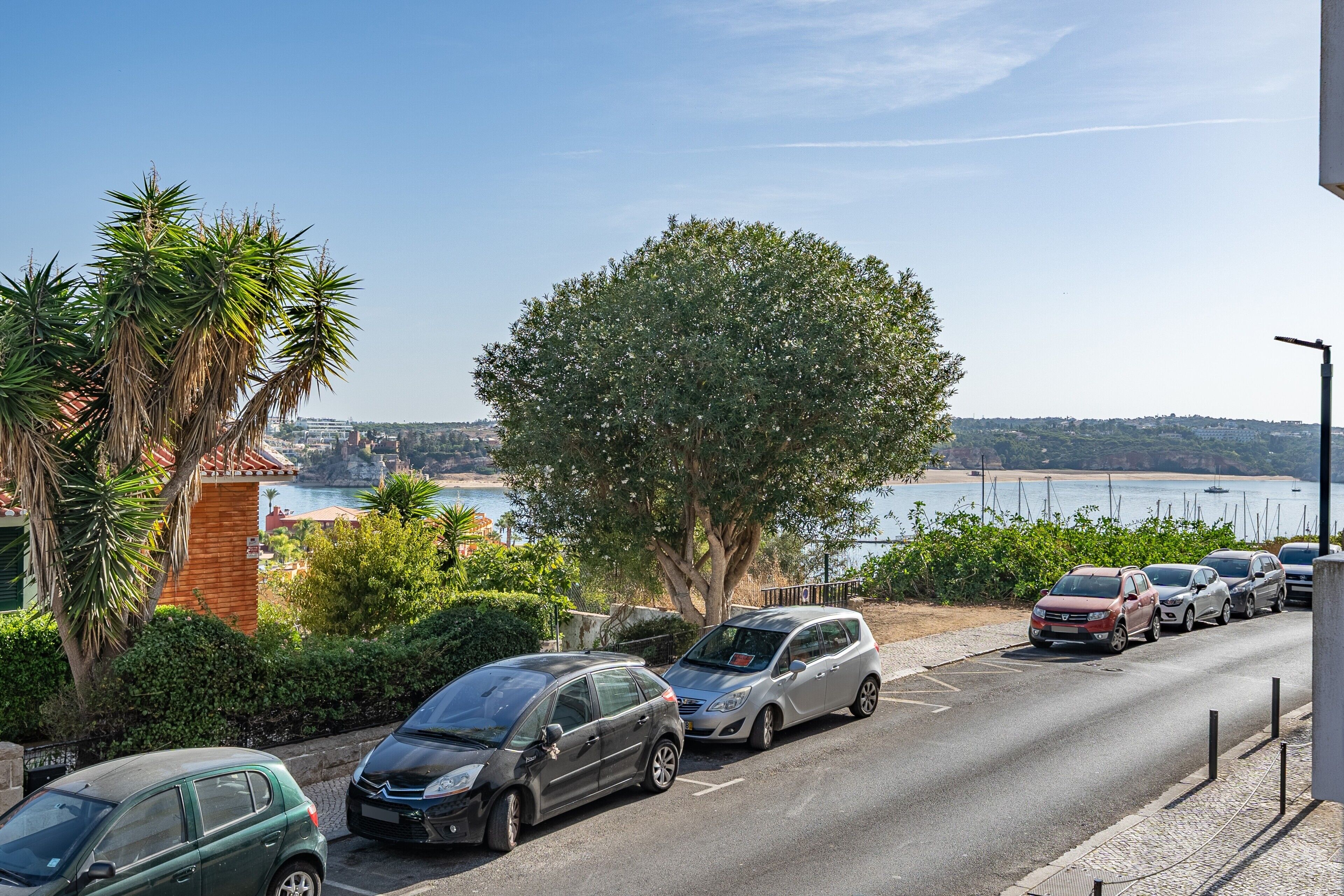 Uma estrada costeira com carros estacionados, uma árvore grande e vista para o mar.