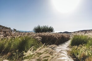 المنطقة المحيطة بالمنشأة