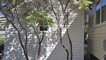 外观细节