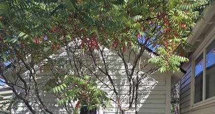Cozy 2 Bedroom Historic Cottage in beautiful Chinook, Montana.