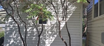 Cozy 2 Bedroom Historic Cottage in beautiful Chinook, Montana.