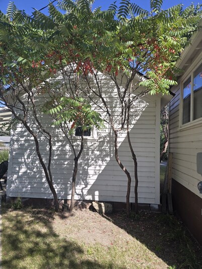 Cozy 2 Bedroom Historic Cottage in beautiful Chinook, Montana.