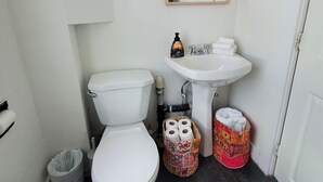 Ett litet badrum med en toalett, ett handfat och en spegel ovanför handfatet. En toalettpappersrulle och en papperskorg syns.
