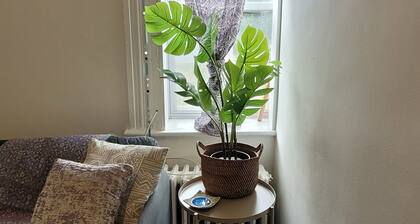 Pizza Corner Look-off- NIGHT LIFE-DTOWN HFX-RARE FIND