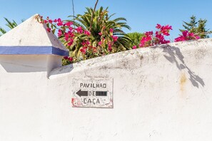 Detalle del exterior