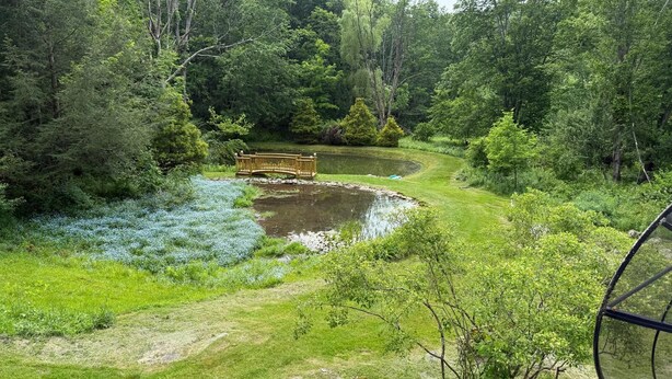 Eine natürliche Landschaft mit Teich, einer Holzbrücke und einem bewaldeten Gebiet.