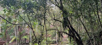 Ecolodge Paraty-Mirim site for up to 22 people