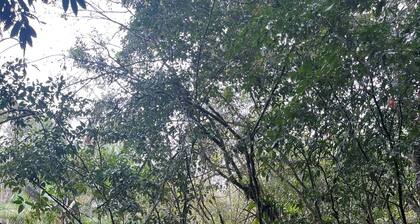 Ecolodge Paraty-Mirim site for up to 22 people