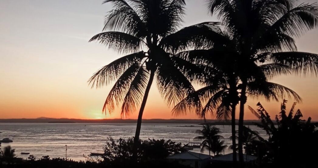 A sunset view with palm trees silhouetted against the sky.