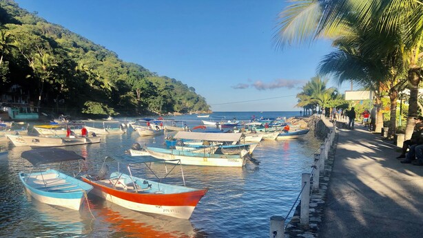 A marina with several boats docked along a paved walkway.