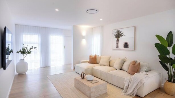 A modern living room with a beige sofa, a coffee table, and a large plant.
