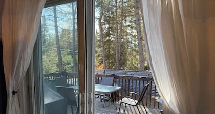 Chalet 4 saisons avec spa - Accès au Lac - Proximité Montagnes Ski - 10+ pers.