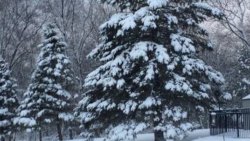 Terrein van de accommodatie