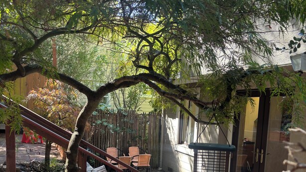 Ein Patio mit bunten Teppich, Blumentöpfen, einem Holzzaun und Gartenmöbeln.