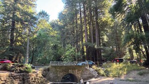 Eine rustikale Steinbrücke über einen kleinen Bach in einem bewaldeten Gebiet mit hohen Bäumen und einem Feldweg.