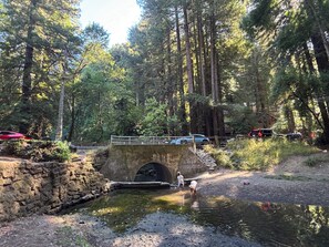 A rustic stone bridge over a small stream in a forested area with tall trees and a dirt path.