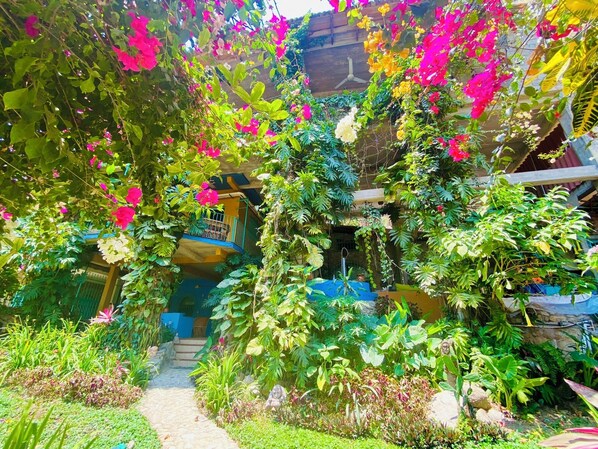 Property grounds - Apt 2-The Bungalow (Boca de Tomatlan)