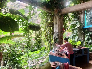 Property grounds - Apt 2-The Bungalow (Boca de Tomatlan)