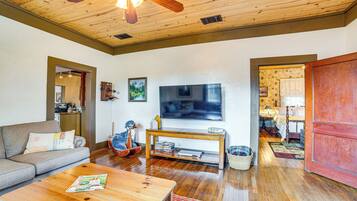 TV, fireplace, books