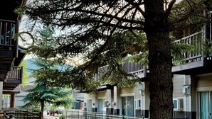 Eine Reihe moderner Wohngebäude mit Balkonen, ein Steinweg und ein Baum im Vordergrund.