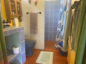 Shower, hair dryer, towels, soap