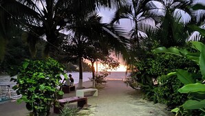A pathway lined with benches and palm trees leading to a beach.