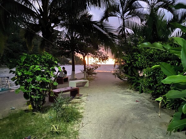 Un camino bordeado por bancos y palmeras que lleva a una playa.