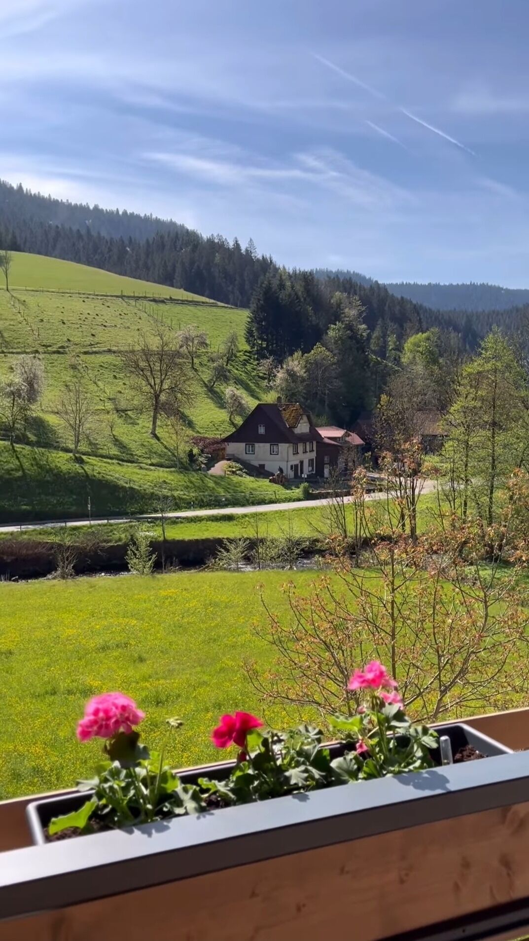 Balkonblick