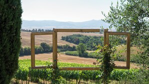 Ein hölzerner Rahmen mit Blick auf einen Weinberg, umgeben von Grün.