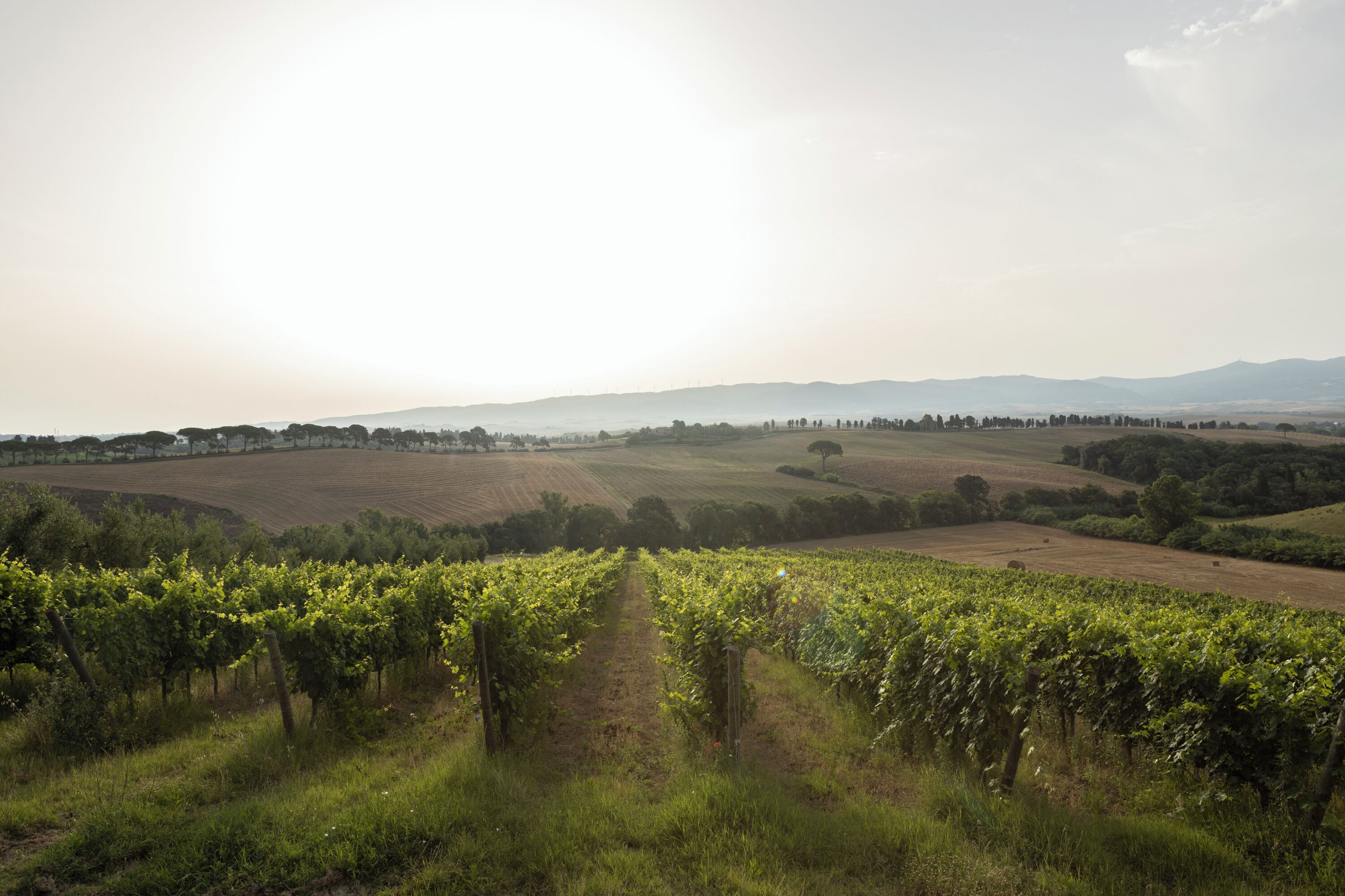 Blick auf die Umgebung